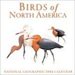 Birds of North America 2004 Calendar