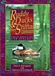 Ruddy Ducks  Other Stifftails: Their Behavior and Biology