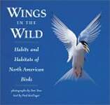 Wings in the Wild: Habits and Habitats of North American Birds