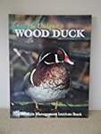 The Unique Wood Duck