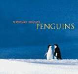 Mitsuaki Iwago's Penguins