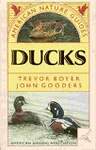 American Nature Guides Ducks of North America