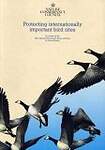 Protecting Internationally Important Bird Sites: A Review of EEC Special Protected Area Network in Great Britain
