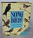 Song Birds: How to Attract Them and Identify Their Songs