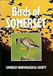 Birds of Somerset