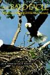The Bald Eagle: Haunts and Habits of a Wilderness Monarch
