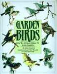 Garden Birds: How To Attract Birds To Your Garden