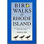 Bird Walks in Rhode Island: Exploring the Ocean State's Best Sanctuaries