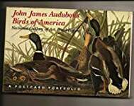 Audubon's Birds of America: A Postcard Portfolio