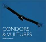 Condors and Vultures