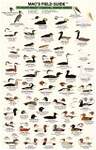 Mac's Field Guide to Northwest Coastal Water Birds