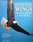 Sovereign Wings: The North American Bald Eagle