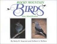 Rocky Mountain Birds: Easy Identification
