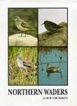 Northern Waders (Caliologists)