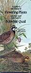 A Guide to and Culture of Flowering Plants and Their Seed Important to Bobwhite Quail