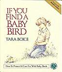 If You Find a Baby Bird: How to Protect and Care for Wild Baby Birds