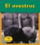 El Avestruz / Ostrich