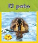 El Pato/ Duck