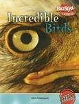 Incredible Birds: Express Edition