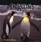 The Nature of Penguins