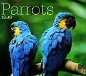 Cal 99 Parrots Calendar
