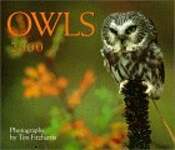 Owls 2000 Calendar