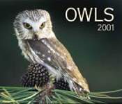 Owls 2001 Calendar