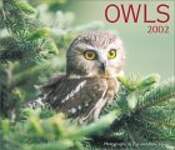 Owls Calendar 2002
