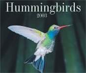 Hummingbirds 2003 Calendar