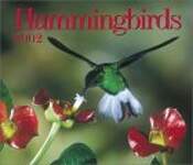 Hummingbirds 2002