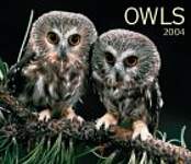 Owls 2004 Calendar
