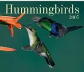 Hummingbirds 2005 Calendar