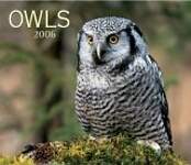 Owls 2006 Calendar
