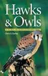 Hawks  Owls of the Great Lakes Region  Eastern North America