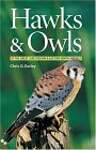Hawks  Owls of the Great Lakes Region and Eastern North America