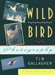 Wild Bird Photography