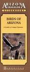 Birds of Arizona: A Guide to Unique Varieties