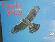 Hawks on the Wing 2000 Calendar