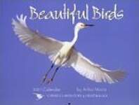 Beautiful Birds: 2001
