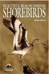Shorebirds: Beautiful Beachcombers