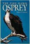The Fish Hawk: Osprey