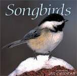 Songbirds 2002 Calendar: 16 Month