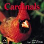 Cardinals 2003