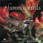 Hummingbirds 2003