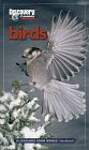 Discovery Channel Birds: An Explore Your World Handbook