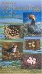 Field Guide to Bird Nests and Eggs of Alaskaâ²s Coastal Tundra