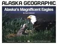 Alaska's Magnificent Eagles