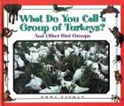 What Do You Call a Group of Turkeys?: And Other Bird Groups