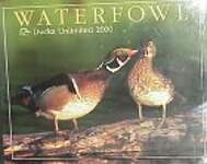 Waterfowl: Ducks Unlimited 2000 Calendar