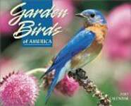 Garden Birds of America 2002 Calendar